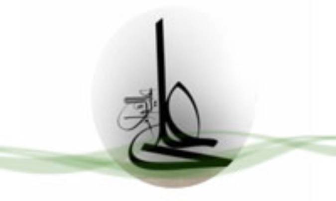 سياست از ديدگاه امام علي عليه السلام- (4)