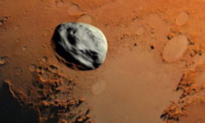 چه كسي دايناسورها را كشت؟