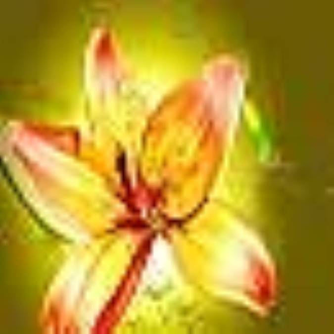 بی انس تو سرزمین‌هایت برایم تنگ است