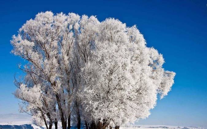 آشنایی با سوغات سرعین