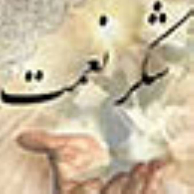 شكر نعمت