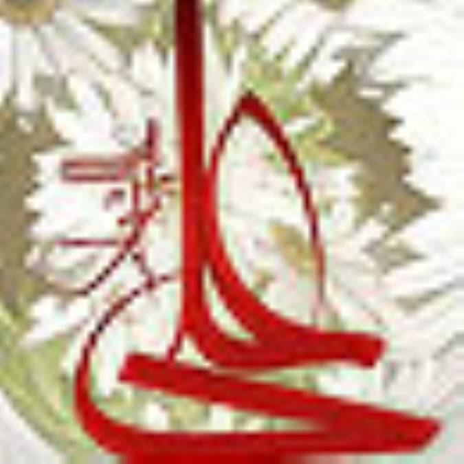 جنگ‏های سه‏گانه امام علی علیه‏السلام