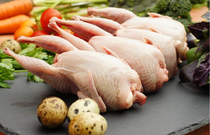 گوشت بلدرچین و یک دنیا خاصیت