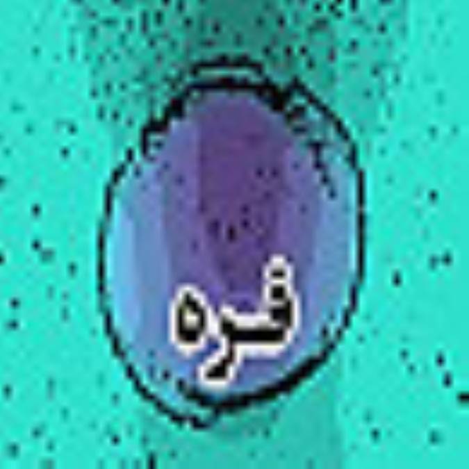 فصلنامه فره
