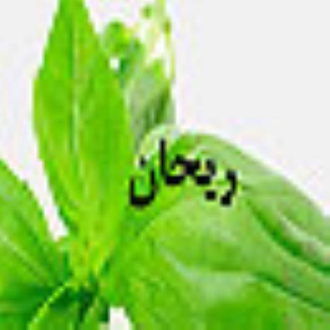 ماهنامه ريحان