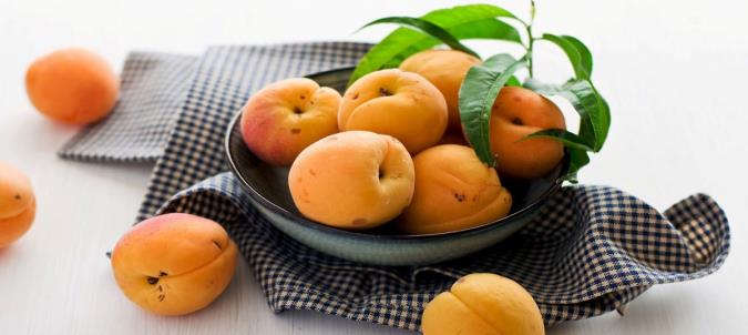 آموزش تهیه سه مدل نان زردآلو