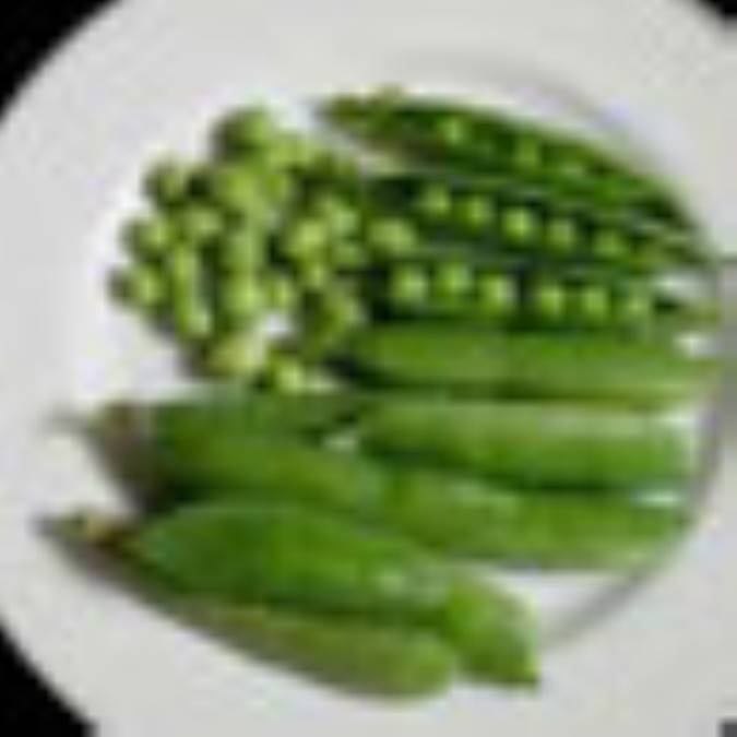 روش صحيح انجماد نخود فرنگي و باقلا سبز