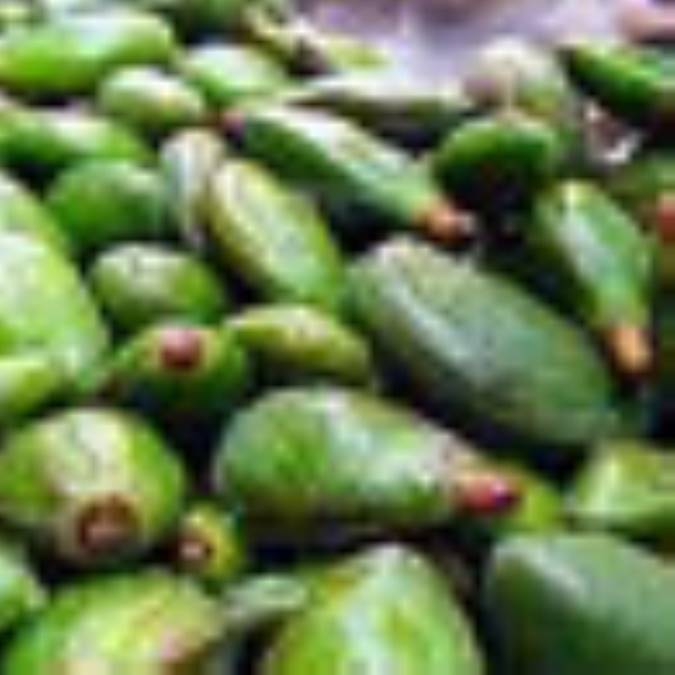 ترشي چغاله بادام