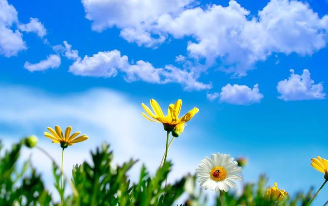 معنای خوشبختی در دیگر فرهنگ های دنیا