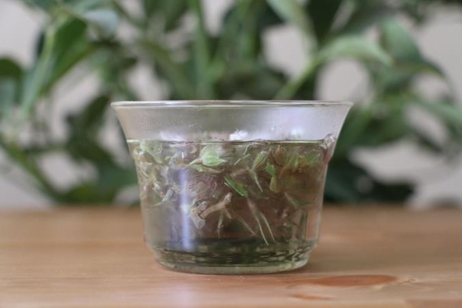 همه چیز درباره چای کوهی