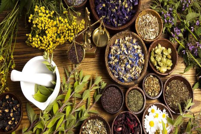 آشنایی با آنتی ویروس های گیاهی