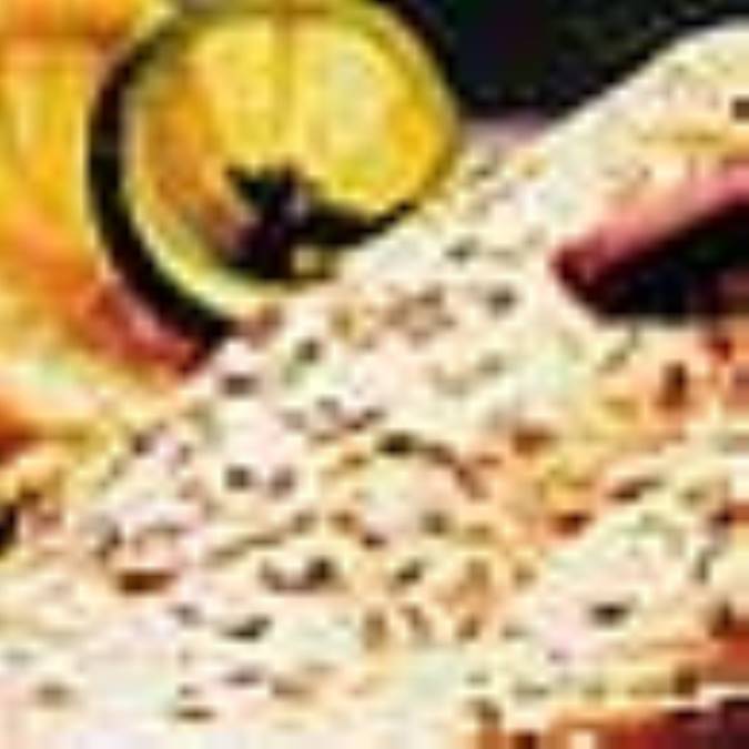 فيله ليمو