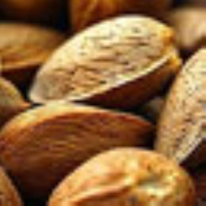 حلزونهاي بادامي