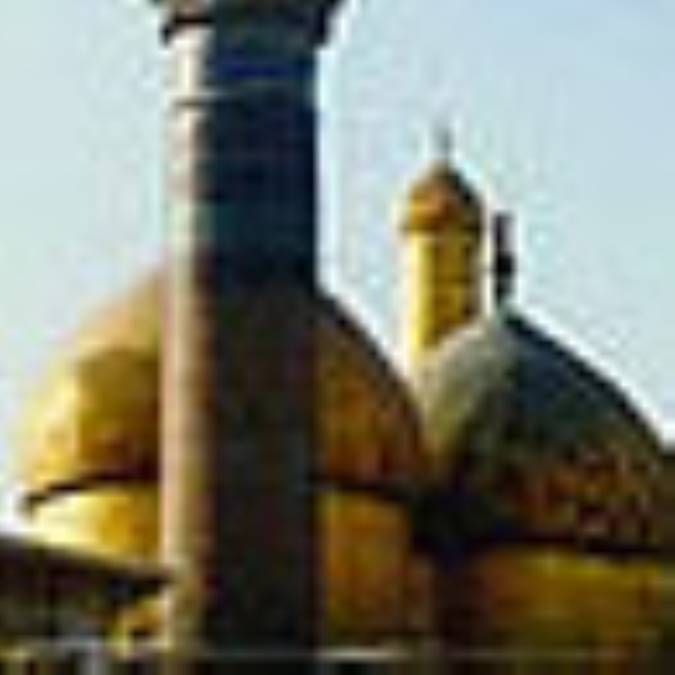 گلي از درخت نبوت