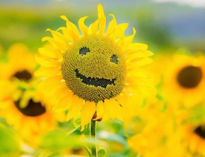 راه های جذب انرژی مثبت