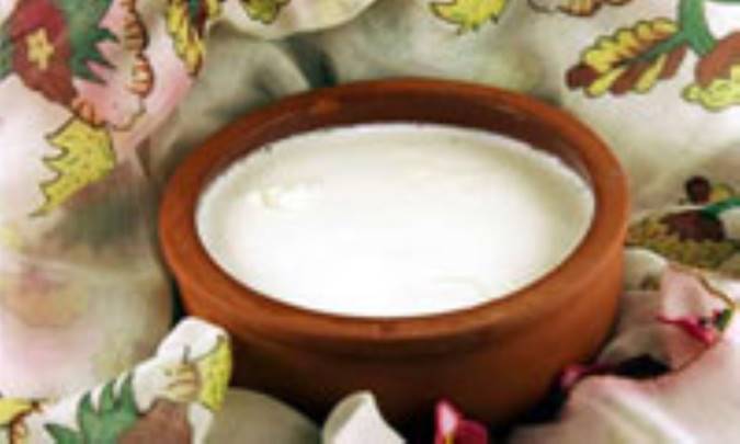 طرز تهیه ماست