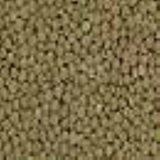 عدس ، مرهم زخم ها