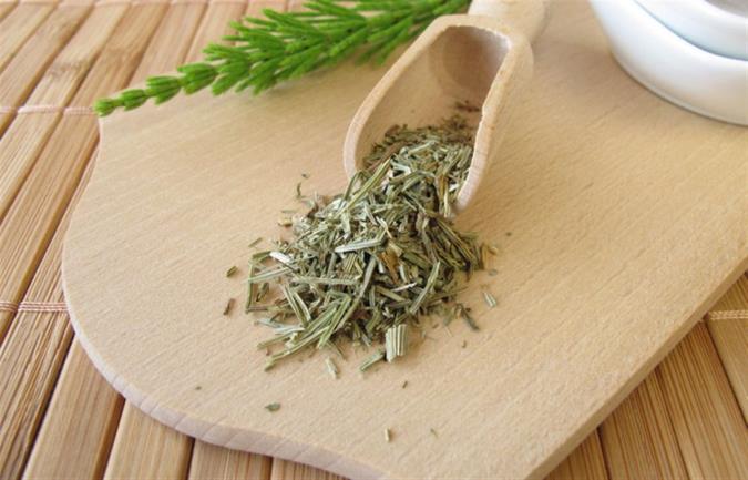 خواص گیاه دم اسبی