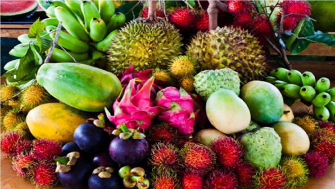 آموزش هسته گیری چند نوع میوه