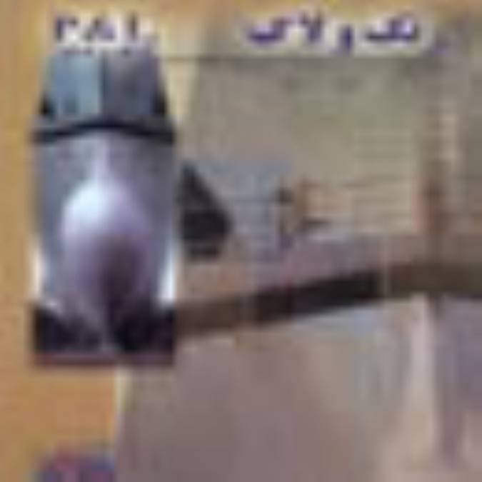دو ماهنامه رنگ و لاك