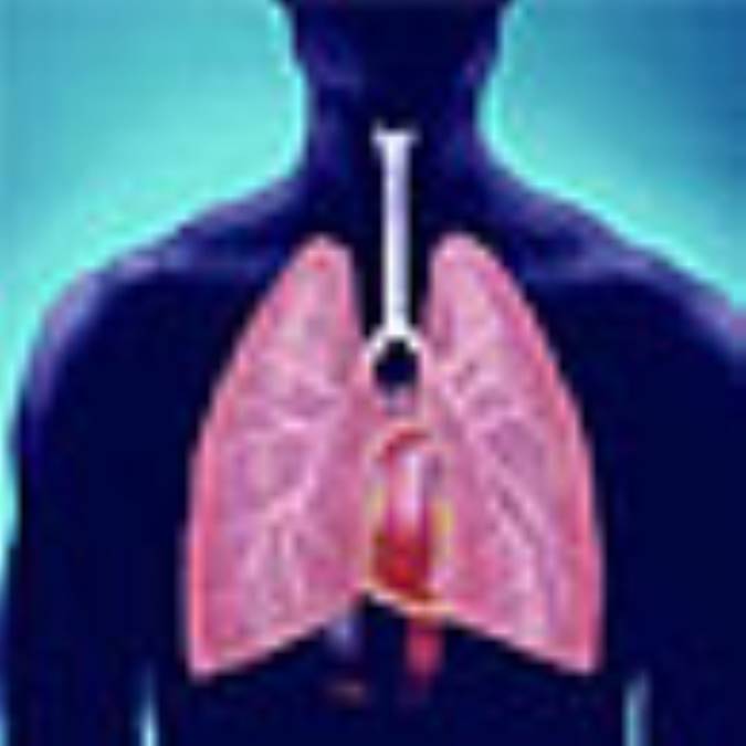 سل ، قابل درمان و پيشگيري است