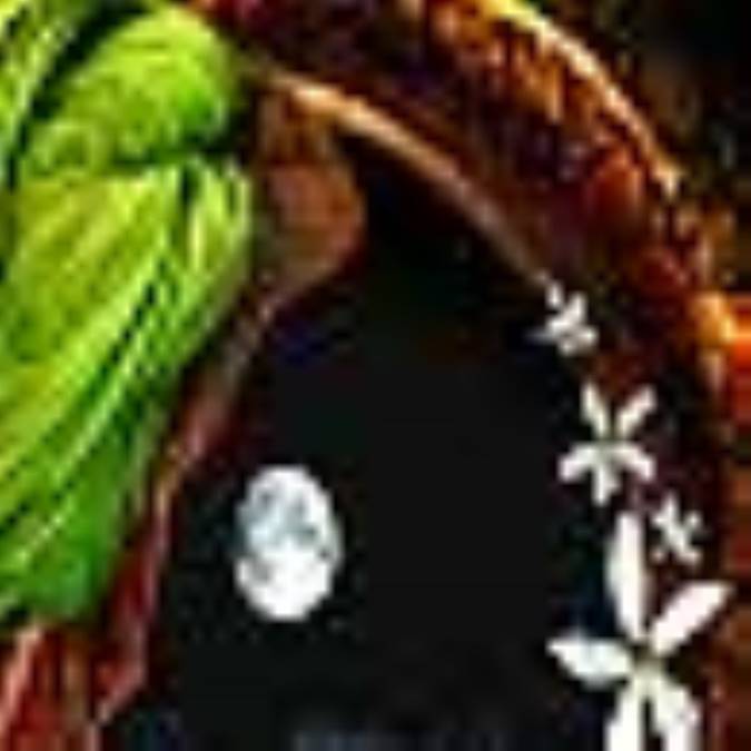 رفتار امّت با دُردانه خلقت