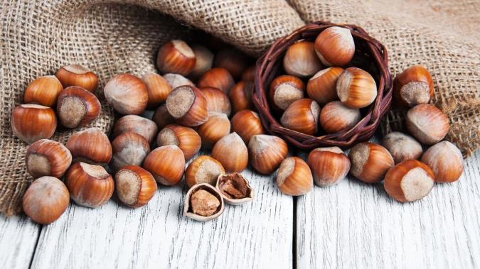 فندق و یک دنیا خاصیت