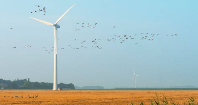 تیغه‌های توربین بادی در کجا آسیب دیده‌اند؟