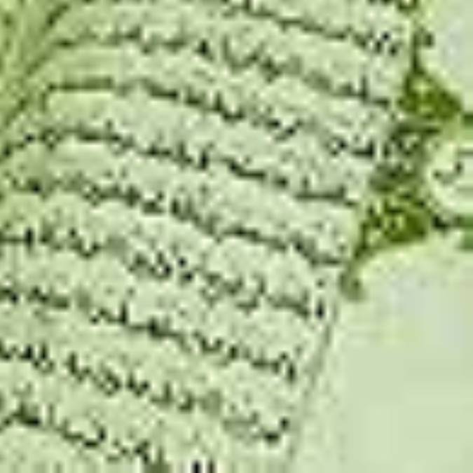 تفكر سياسى در قرآن