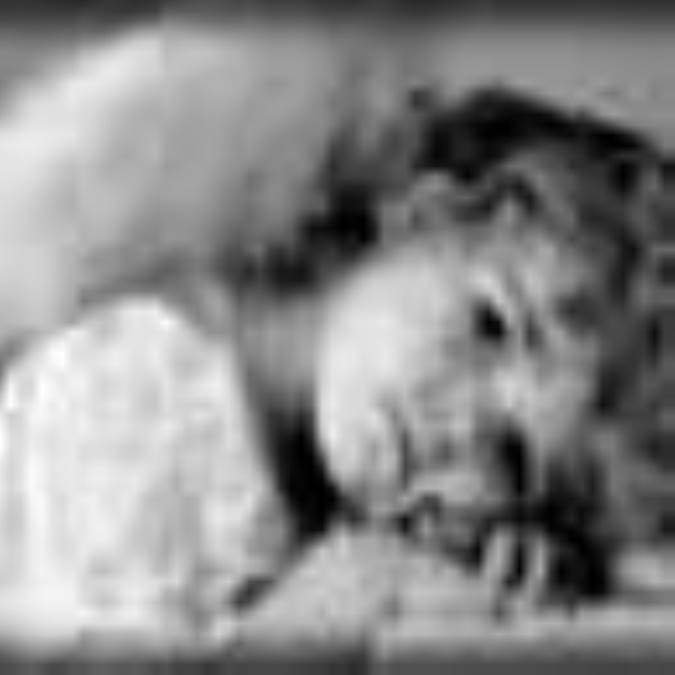 اقتداء ملائکه به مؤمن