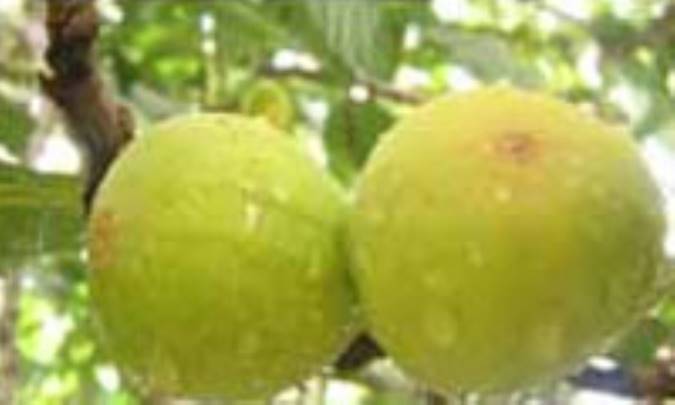 به ، طعم خوش زندگي 