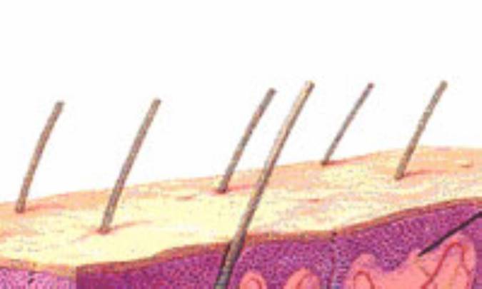 1+3 ماسک مخصوص پوست چرب