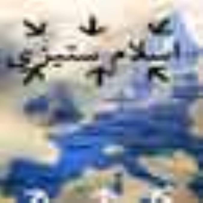 اسلام ستيزى در اروپا