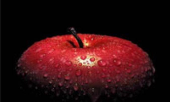 تغذيه و تناسب اندام پيش از بارداري(1)