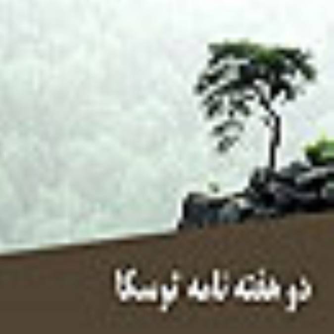 دو هفته نامه توسكا