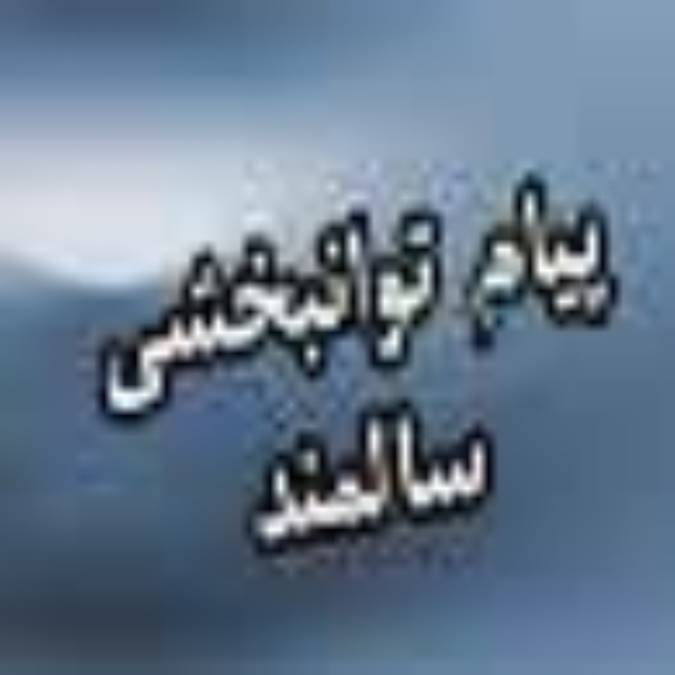 فصلنامه پيام توانبخشي سالمند 