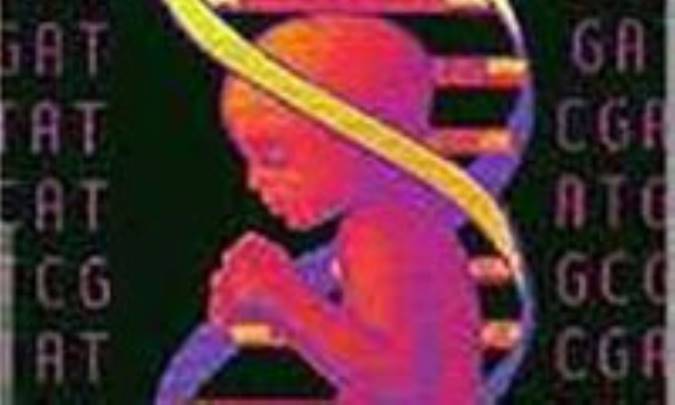 بررسي فقهي شبيه سازى(3)