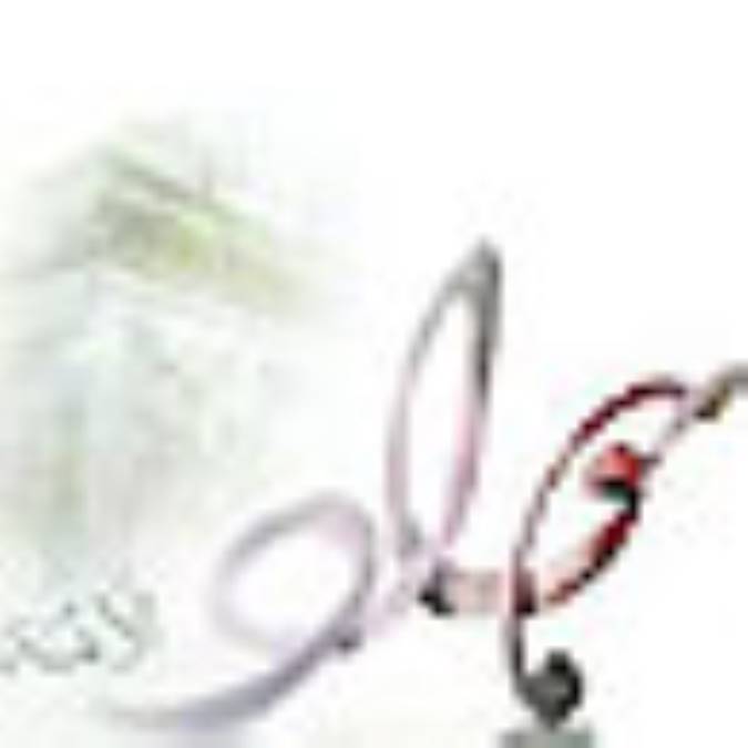 نقش امام جواد(علیه السلام) در نظام ولايي