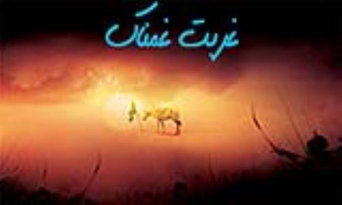 غربت غمناک