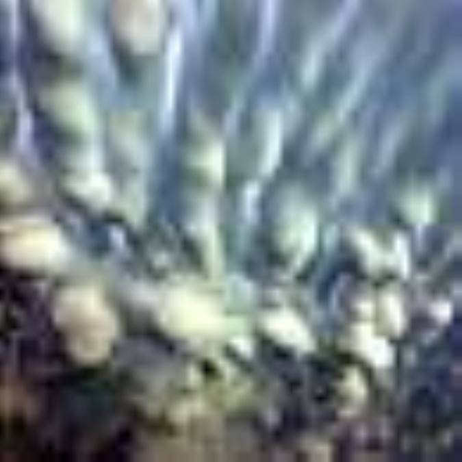 معرفي چند پديده شگفت انگيز 