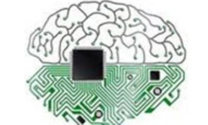 مغز مصنوعي تا 10 سال ديگر توليد مي شود