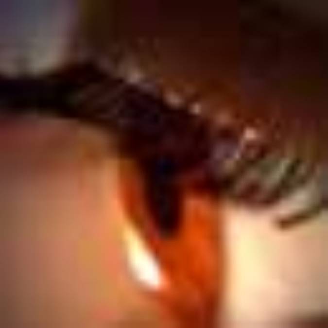 فصل طرب 