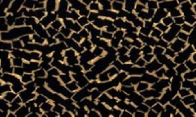 سلولوئيد ( Celluloid)