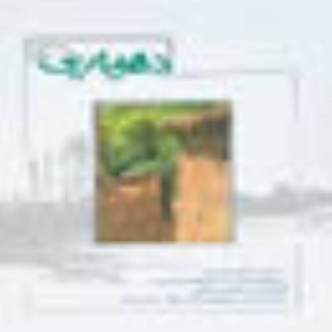 ماهنامه دهياري ها