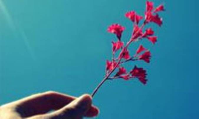 او می آید