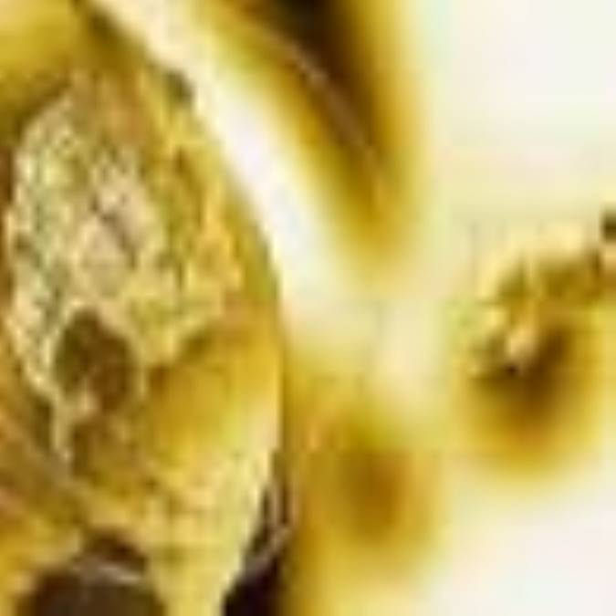 مجله الکترونیکی روزانه شماره 330