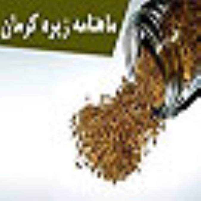 ماهنامه زيره كرمان