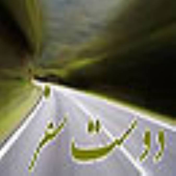 دوست سفر