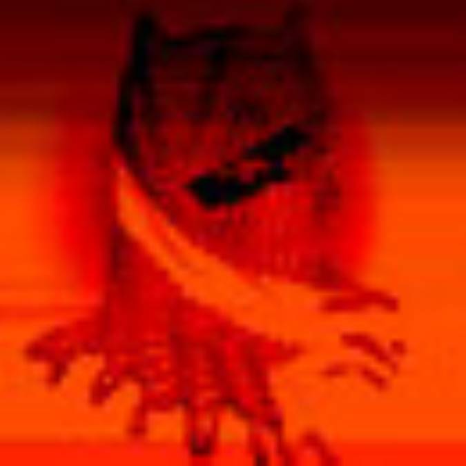 چرا وهابیت؟