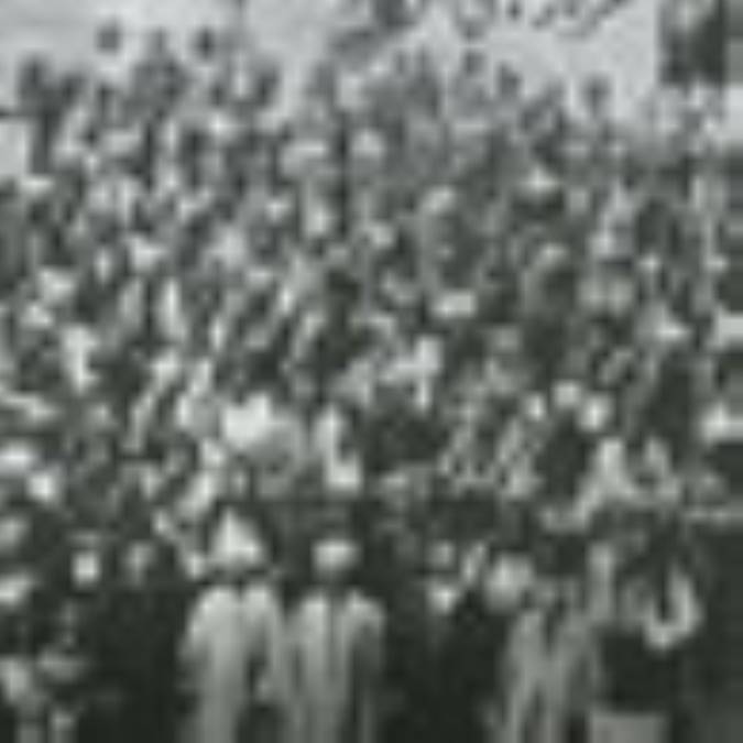 نظام اجباري (1)
